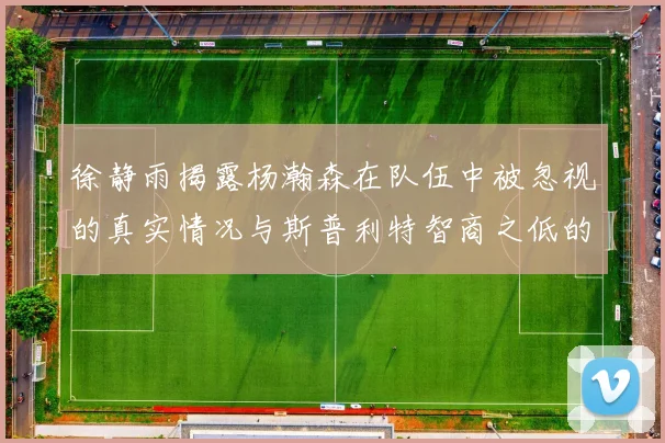 徐静雨揭露杨瀚森在队伍中被忽视的真实情况与斯普利特智商之低的尴尬真相