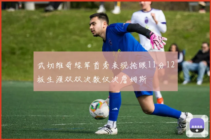 武切维奇绿军首秀表现抢眼11分12板生涯双双次数仅次詹姆斯