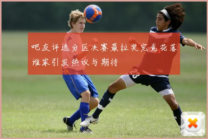 吧友评选分区决赛最拉奖究竟花落谁家引发热议与期待
