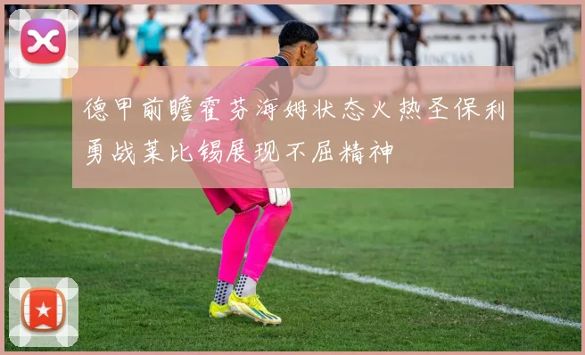 德甲前瞻霍芬海姆状态火热圣保利勇战莱比锡展现不屈精神